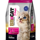 BR FOR CAT PURE GATITOS