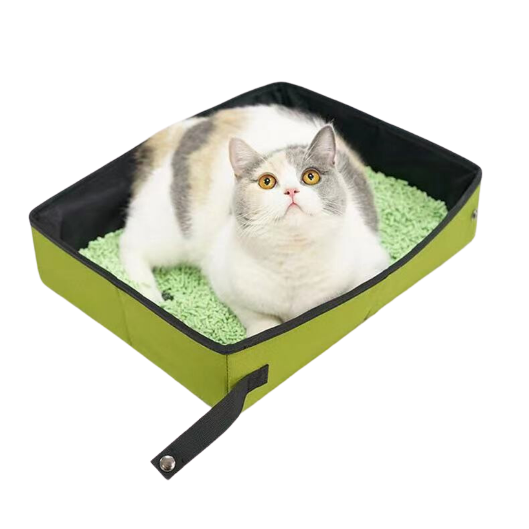 ARENERA PORTABLE