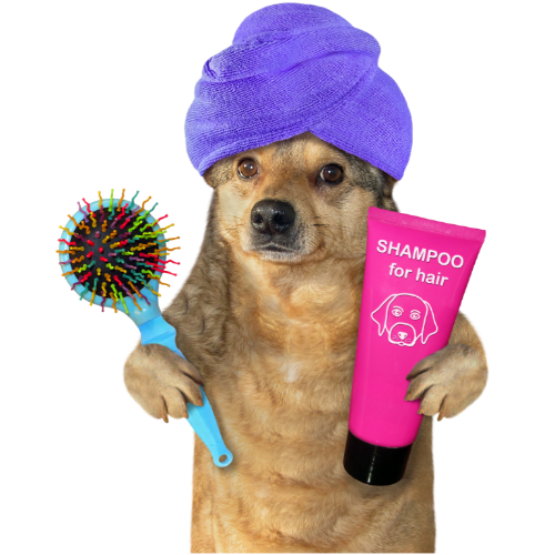 BAÑO SPA DE MASCOTAS