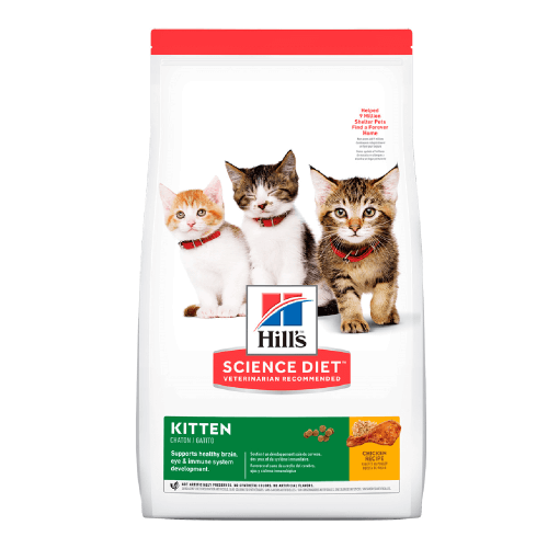HILLS GATO KITTEN
