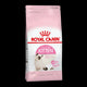 ROYAL CANIN GATITOS 500gr