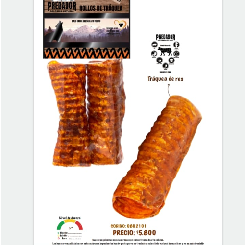 ROLLO DE TRAQUEA