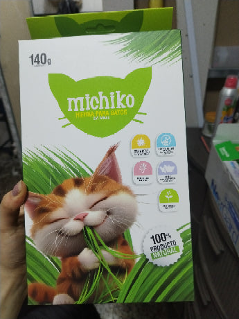 KIT DE SIEMBRA MICHICO