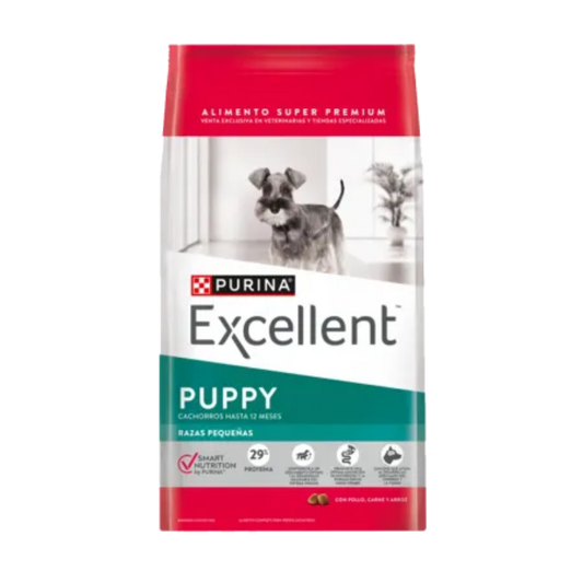EXCELLENT PUPPY RAZAS PEQUEÑAS