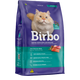 BIRBO GATO CASTRADO