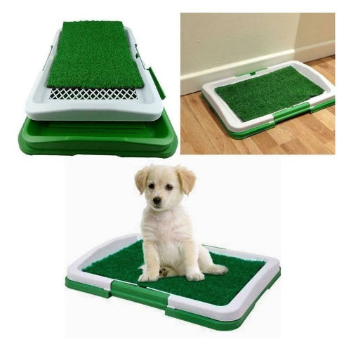TAPETE PUPPY POTTY