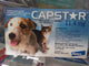 CAPSTAR 11.4 MG UND