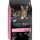 EQUILIBRIO GATO FILHOTES KITTY