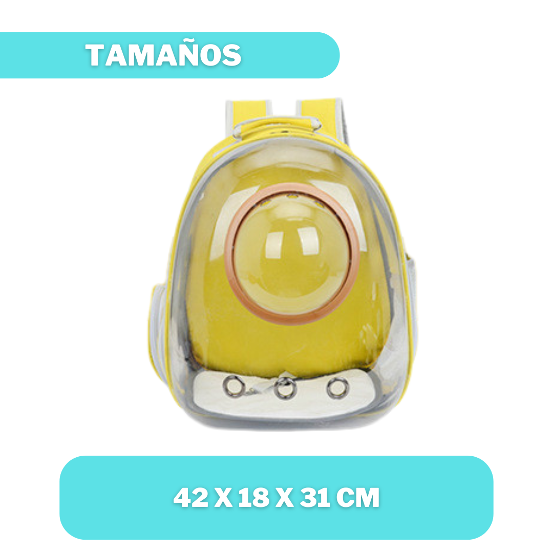 MALETA TRANSPARENTE CON CÁPSULA