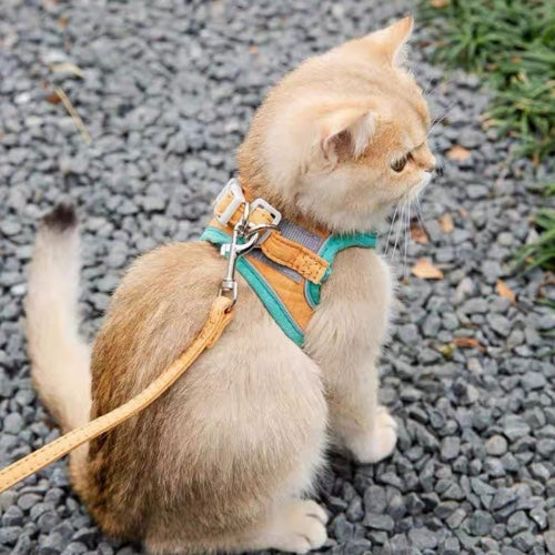 ARNÉS CUERO NOBUCK TERCIOPELO