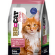 BR FOR CAT PURE SALMON