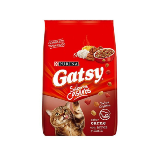 GATSY CARNE