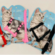 ARNES GATO ECO