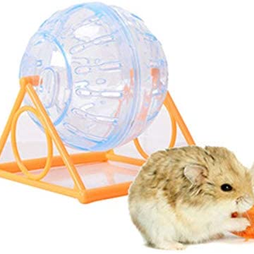 BOLA HAMSTER