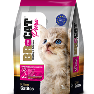 BR FOR CAT PURE GATITOS