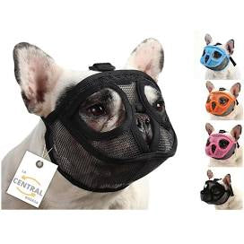 BOZAL PERRO CHATO