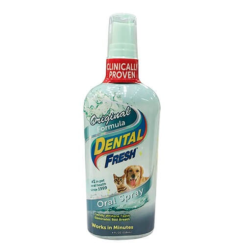 DENTAL FRESH
