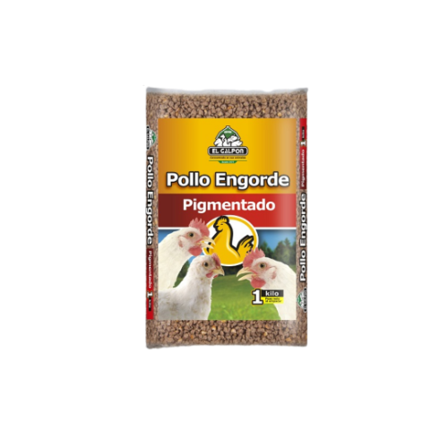 POLLO ENGORDE PIGMENTADO