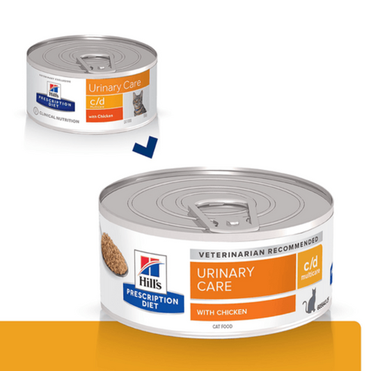 LATA HILLS C/D URINARY CARE GATO
