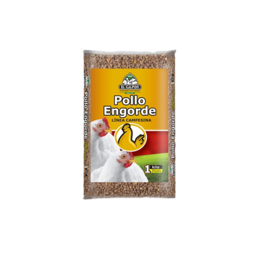 POLLO ENGORDE