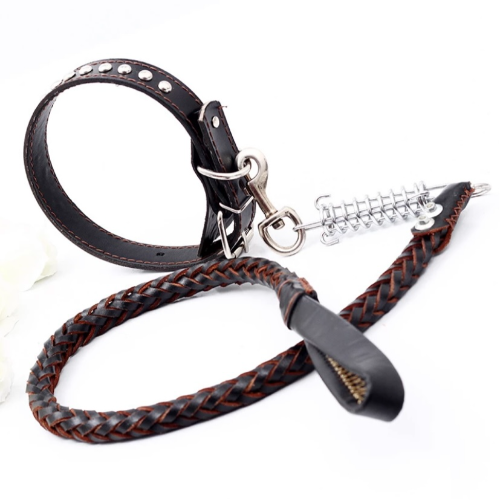 COLLAR Y LAZO CUERO BULLY