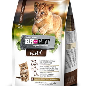 BR FOR CAT WILD KITTEN
