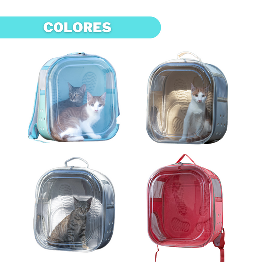 MALETA TRANSPARENTE CUADRADA
