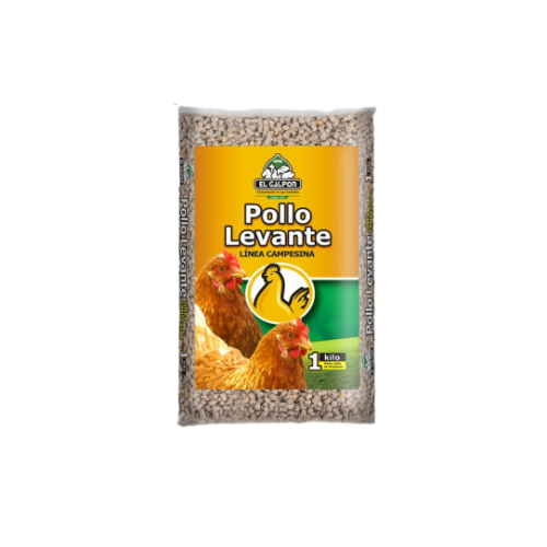POLLO LEVANTE