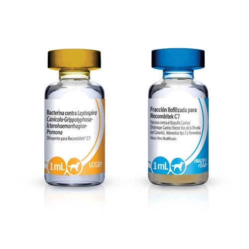 VACUNAS PERROS BOEHRINGER