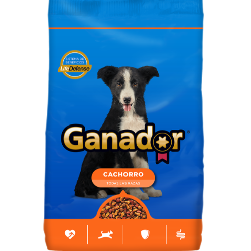 GANADOR CACHORRO