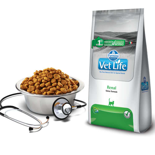 VETLIFE GATOS MEDICADO