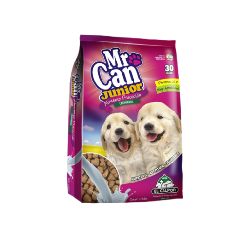 MR CAN JUNIOR