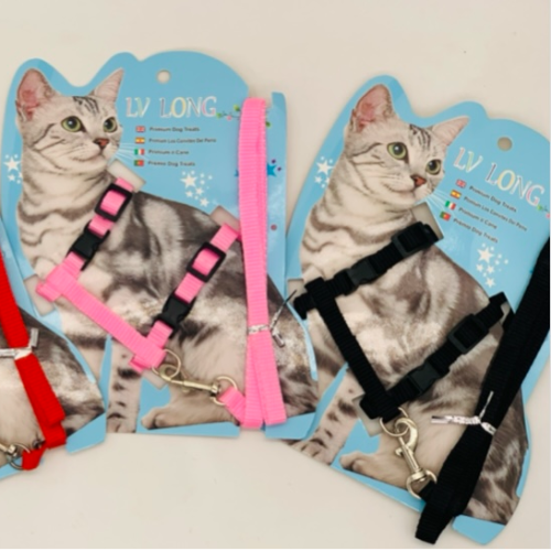 ARNES GATO ECO